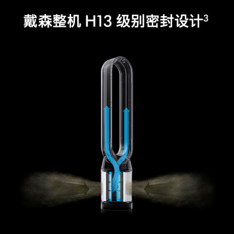 戴森(Dyson)空气净化电风扇TP09白金色家用 长效监测甲醛,凉风、净化二合一持久监测并长效清除甲醛；长效监测甲醛；凉风、净化二合一